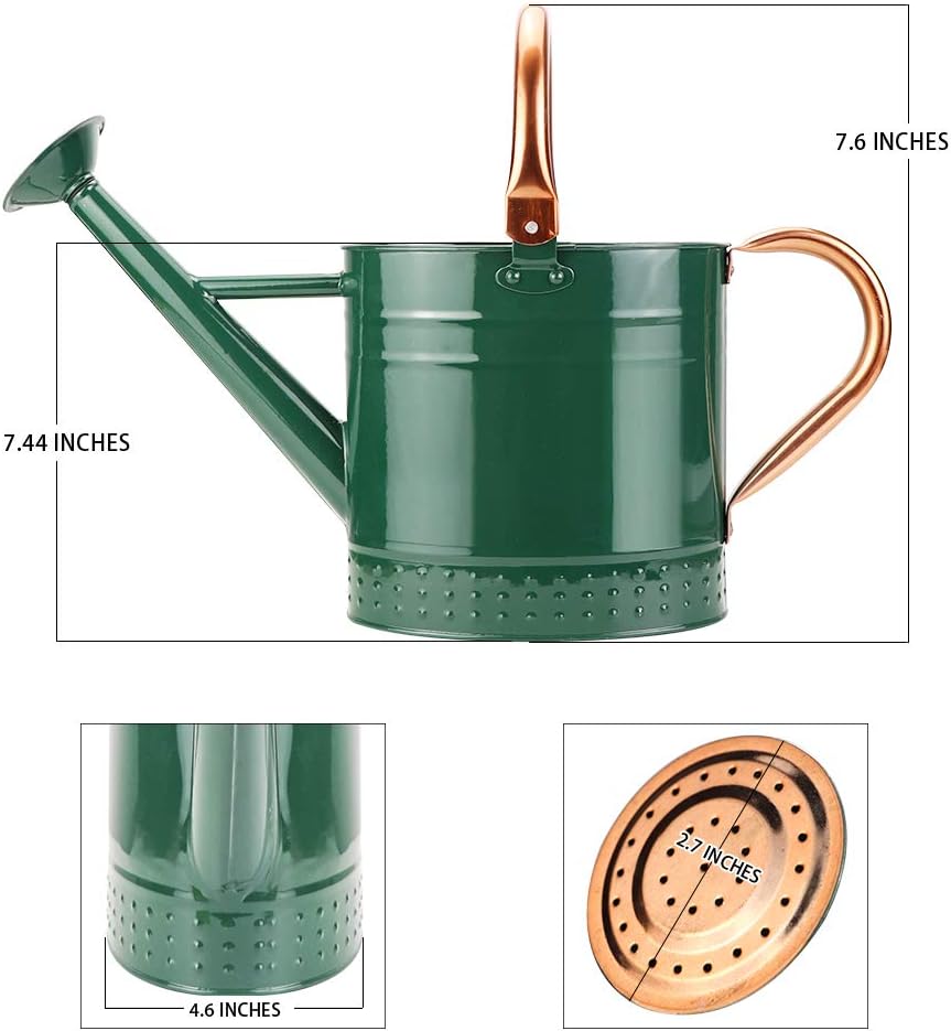 1 Gallon Metal Watering Can with Removable Spout, Nice Galvanized Steel Water Can with Embossed Design for Indoor and Outdoor Plants