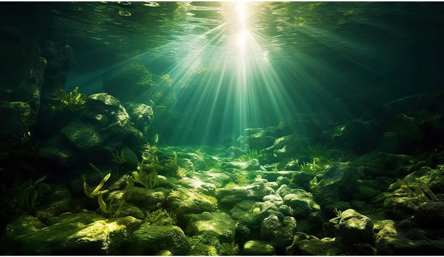 Underwater Sunray Aquarium Background Deep Ocean Rock Cave Fish Tank Background Under The Sea Coral Reef Aquarium Backgrounds Ocean Floor Tropical Fish Terrarium Backgrounds 30x18in