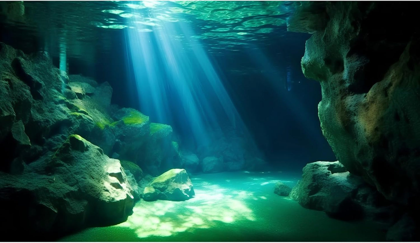 Underwater Fish Tank Background Under The Sea Cave Style Aquarium Background Ocean Floor Cave Sunlight Fish Tank Backdrop Tropical Fish Aquarium Terrarium Backgrounds Decorations 60x24in