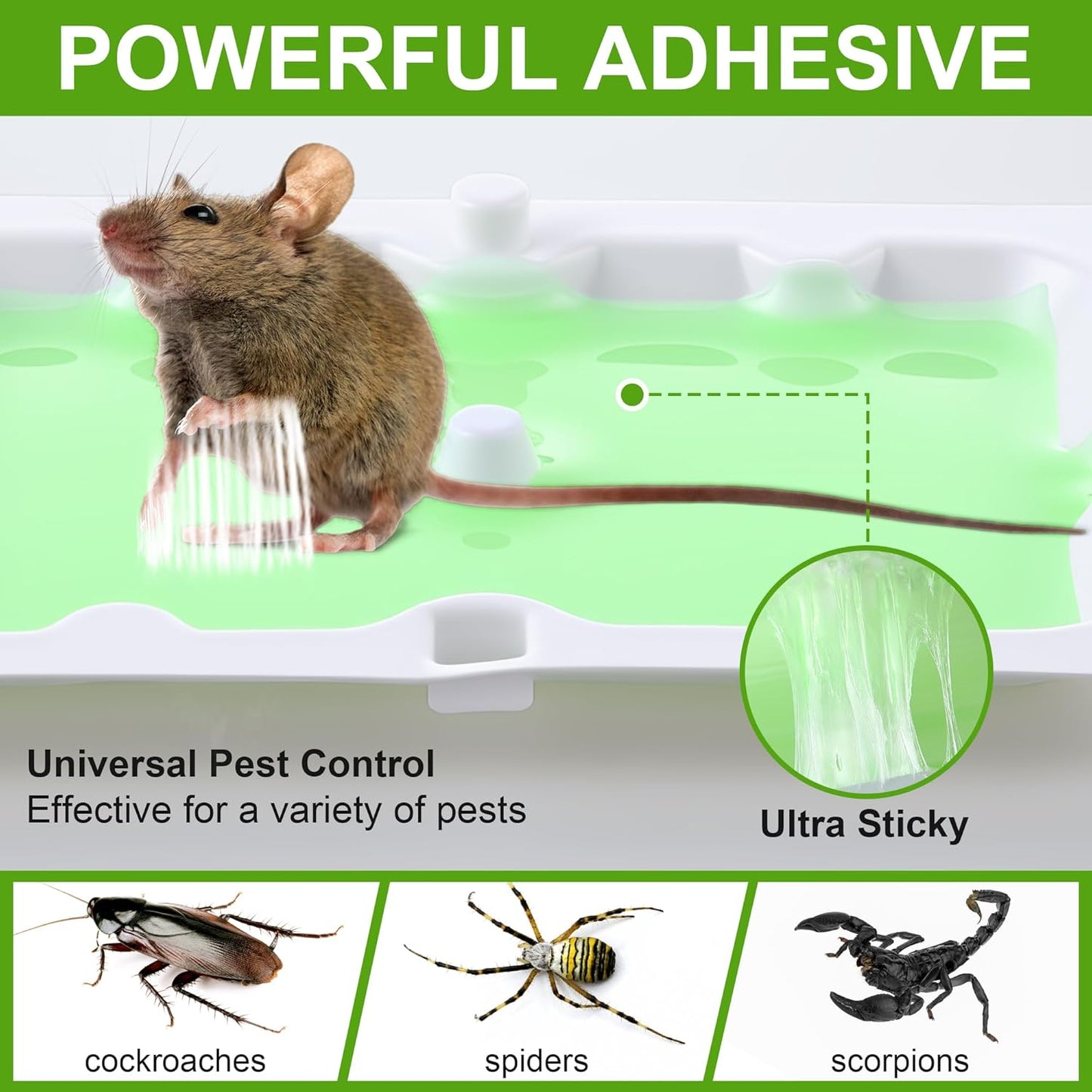 Qualirey 24 Pack Mouse Glue Trap, Super Sticky Traps Mouse Size for Mice and Rats, Pre-Scented, Non Toxic Mice Glue Boards, Rodent Sticky Pads Indoor for Home, Easy to Use, Pet Safe Pest Control