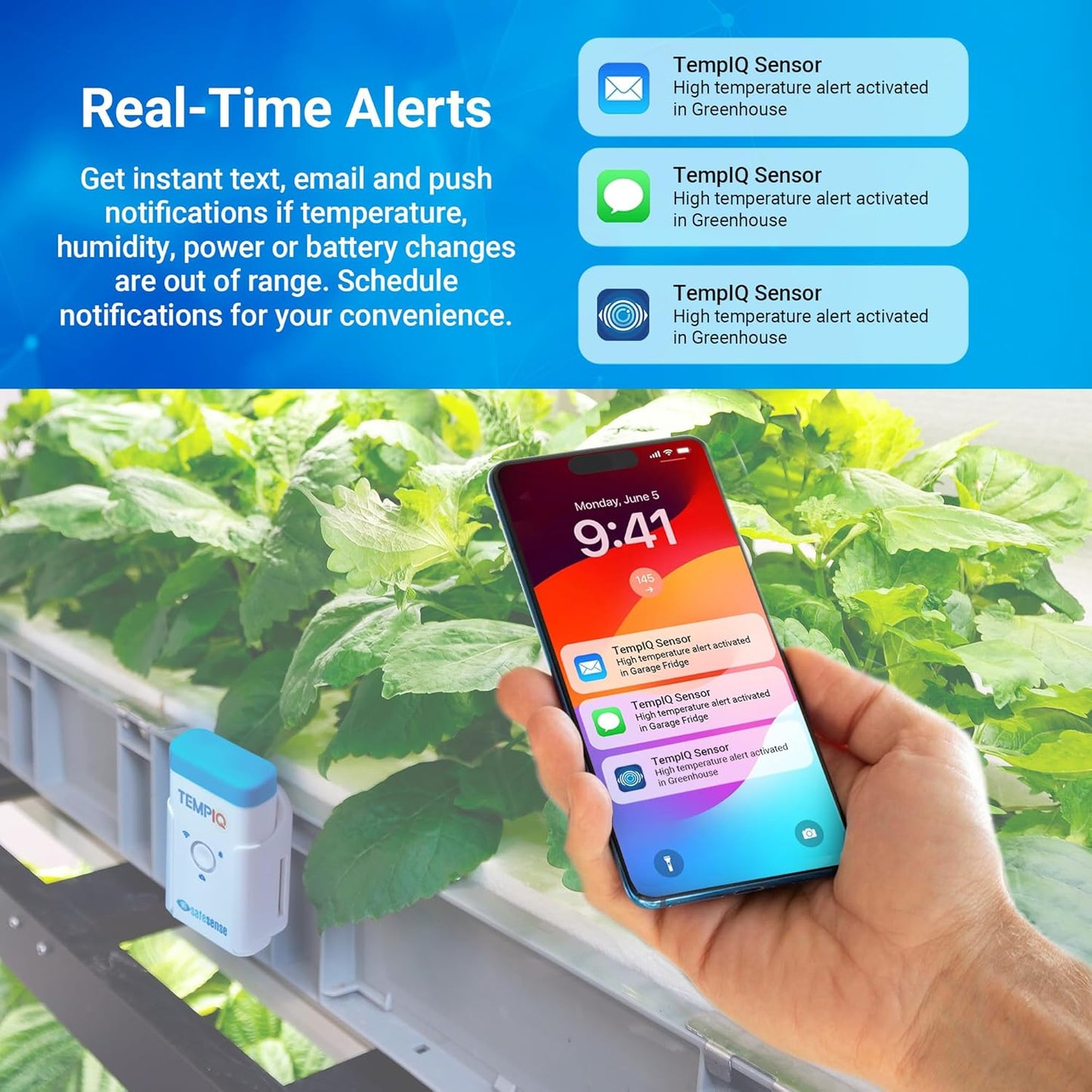 TEMPIQ Remote WiFi 2-Pack Temperature & Humidity Sensor - App Integration, Alerts, Helps Monitor 2nd Home, AirBnb, RV, Pets,Freezer and Server Room, Indoor & Outdoor Hygrometer & Thermometer