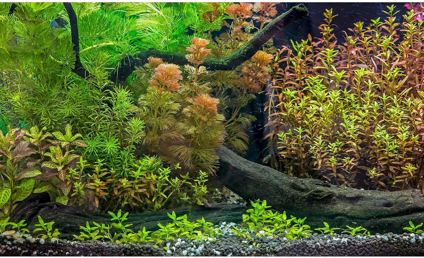 Aquarium Backdrop Underwater Grass Leaves with Pebbles Exquisite Aquarium Background Vivid Green Aquatic Plant Stone River Bed Fish Dead Wood Fresh Leaves Tank Background Decors Vinyl 24x12in