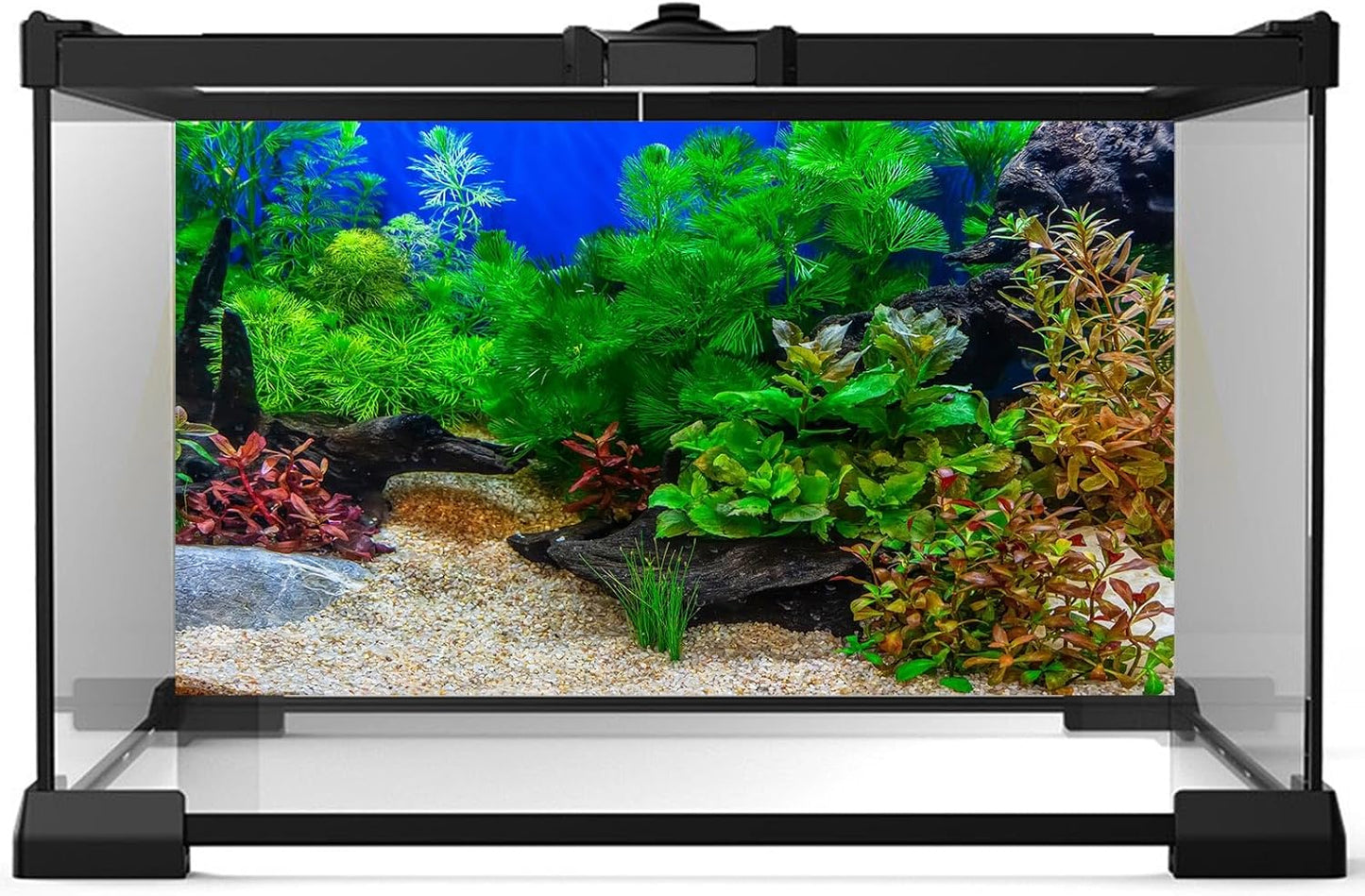 Aquarium Background Underwater Grass Leaves with Pebble Aquarium Backdrop Vivid and Fresh Green Aquatic Plant Stone River Bed and Lake Fish Deadwood Tank Background Decor Vinyl 24x16in