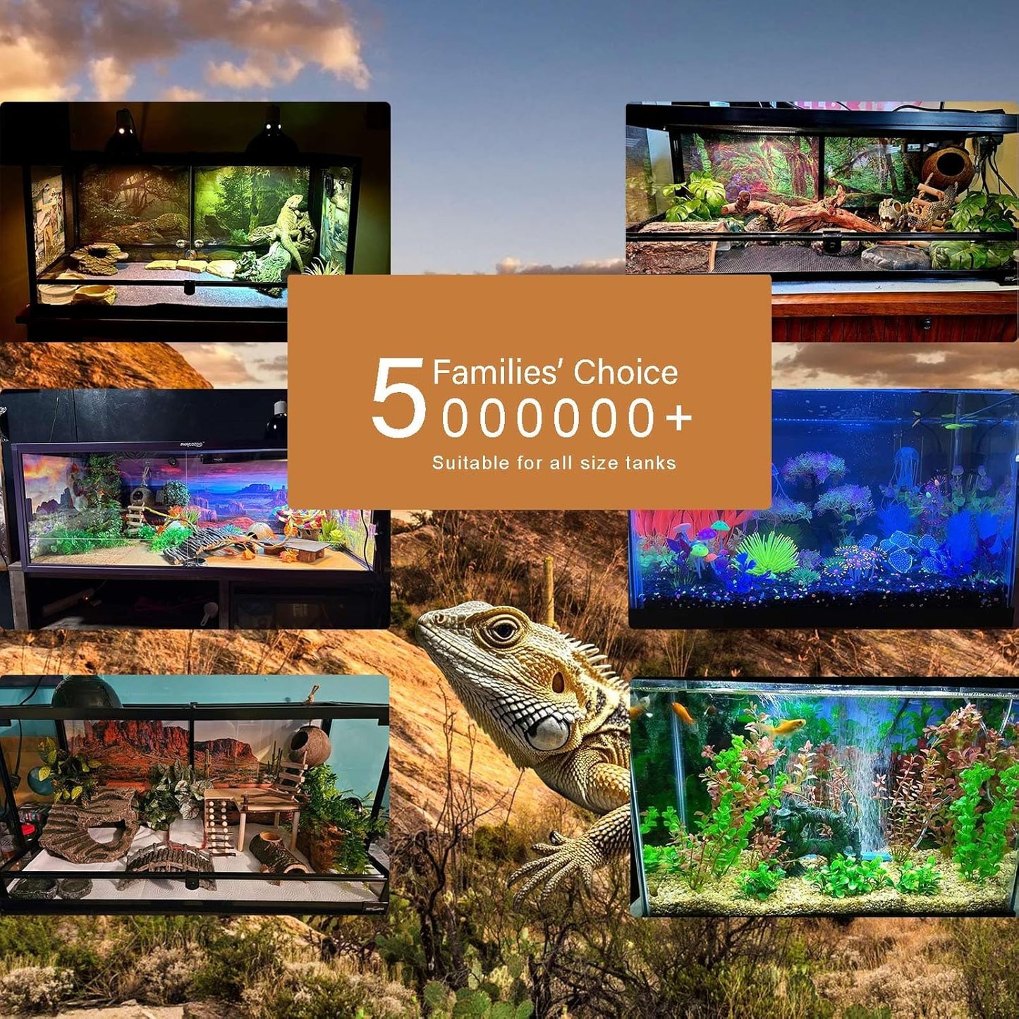 Aquarium Background Various Underwater Grass Plants Fish Tank Background Vivid Fresh Green Aquatic Plants Stone River Bed Dead Wood Purple Stone Terrarium Wallpaper 36x18in