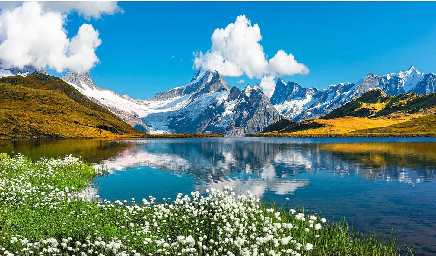 Mountains Lake Aquarium Background Bernese range View Fish Tank Background Switzerland Alps Grindelwald Valley Lake Terrarium Background Fantastic Natural Landscape Aquarium Fish Tank Decors 72x24in